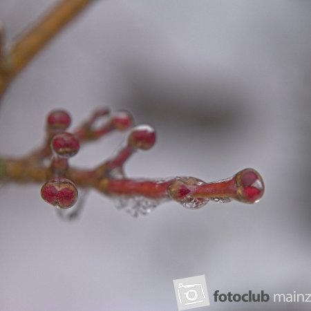 Eisanzug 1